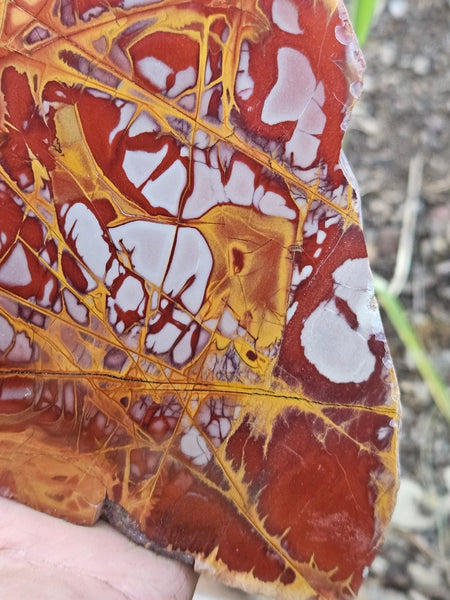 Polished Noreena Jasper slab. NJ490