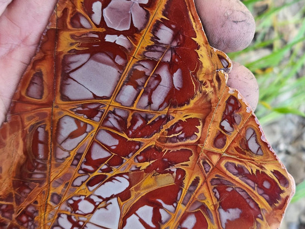 Polished Noreena Jasper slab. NJ490