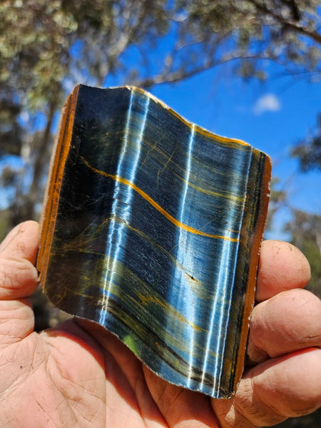 Polished African Tiger Eye slab TEA112