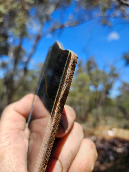 Polished African Tiger Eye slab TEA112