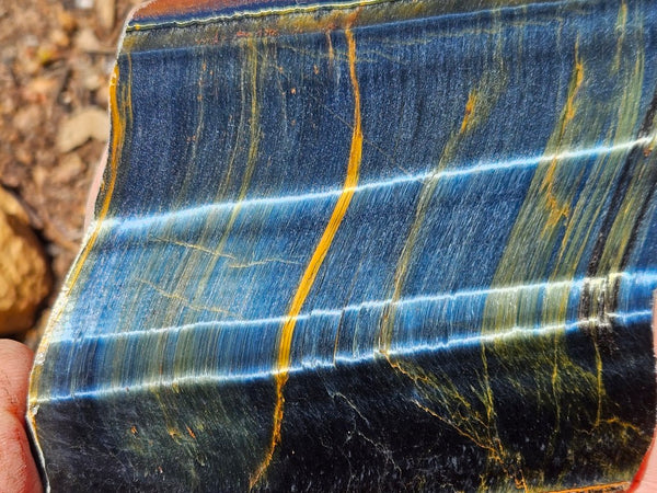 Polished African Tiger Eye slab TEA112