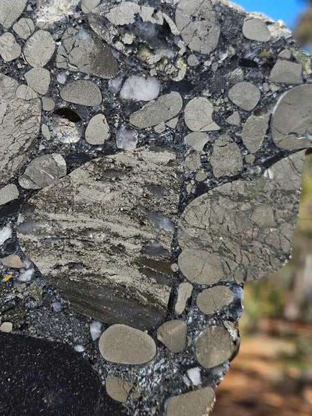 Polished Beaton's Creek auriferous conglomerate slab BC107