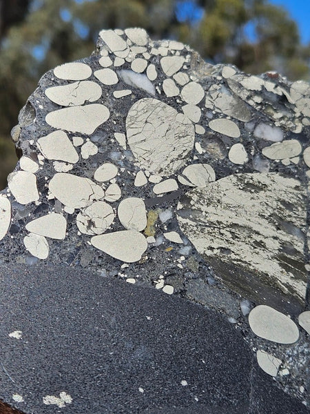 Polished Beaton's Creek auriferous conglomerate slab BC107