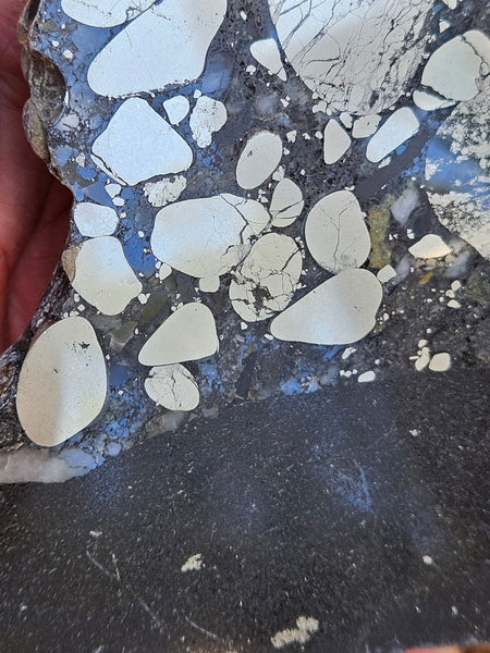 Polished Beaton's Creek auriferous conglomerate slab BC107