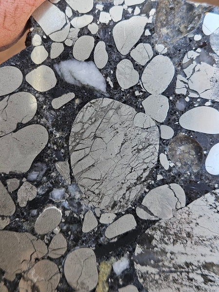 Polished Beaton's Creek auriferous conglomerate slab BC107