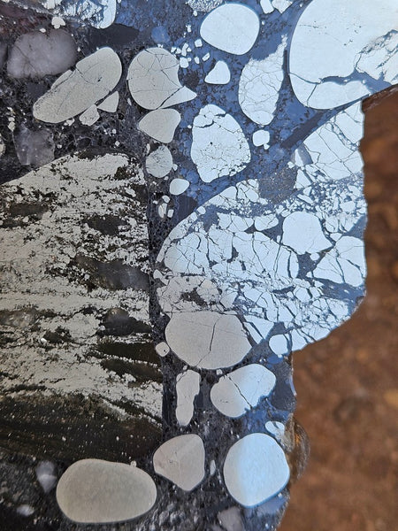 Polished Beaton's Creek auriferous conglomerate slab BC107