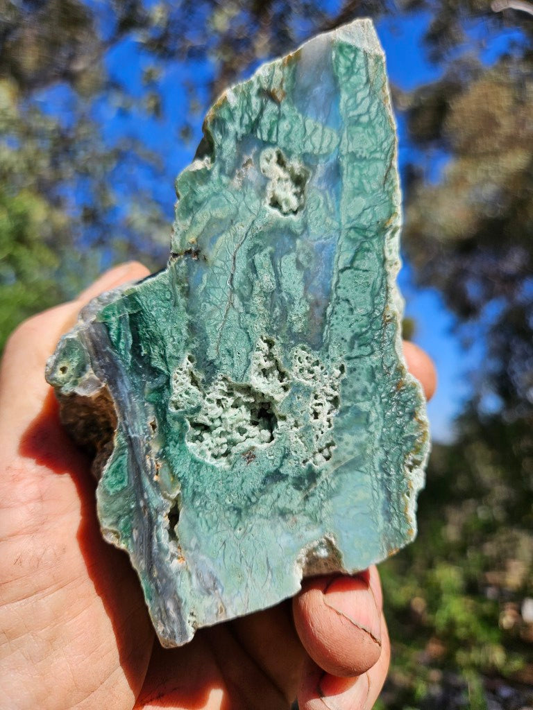 Polished Chrome Chalcedony  CC167