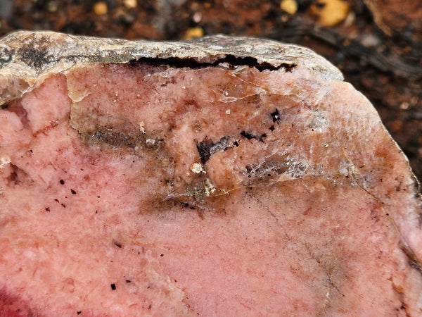 Polished Rhodonite  RH295
