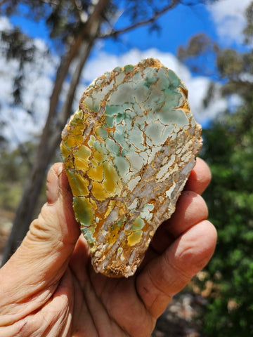 Polished Variscite   VP298