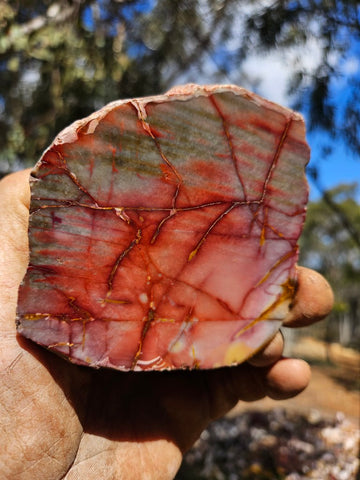 Sunset Jasper polished  SU194