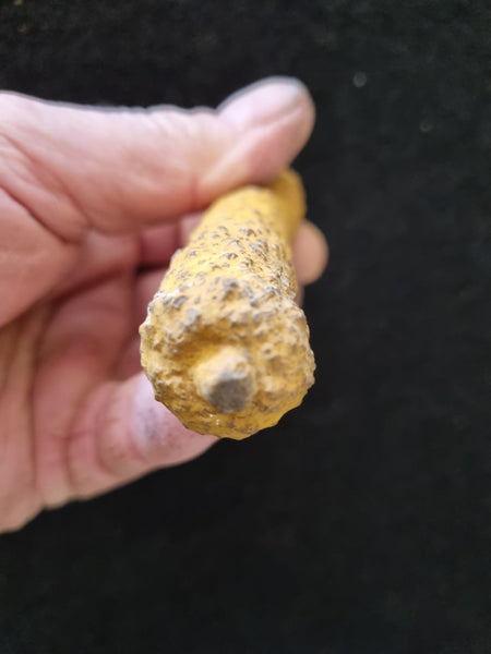 Pseudomorph. Goethite after Marcasite PS109