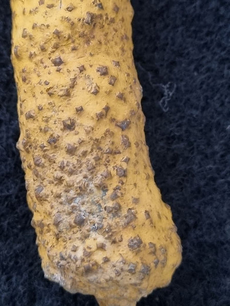 Pseudomorph. Goethite after Marcasite PS109