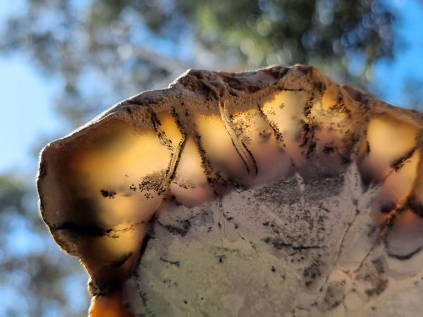 Chalcedony slab PC111