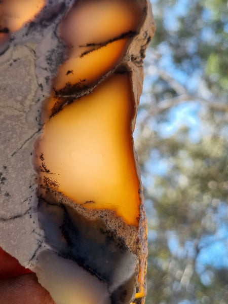Chalcedony slab PC111