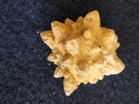 Pseudomorph. Goethite after Marcasite PS111