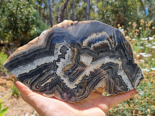 Polished Wyloo Agate slab WA134
