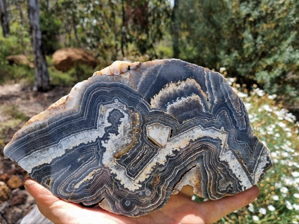Polished Wyloo Agate slab WA134