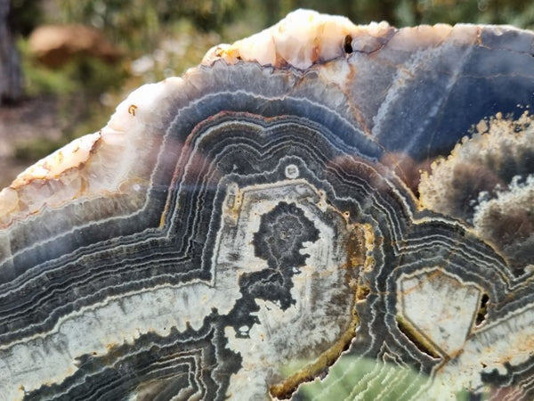 Polished Wyloo Agate slab WA134