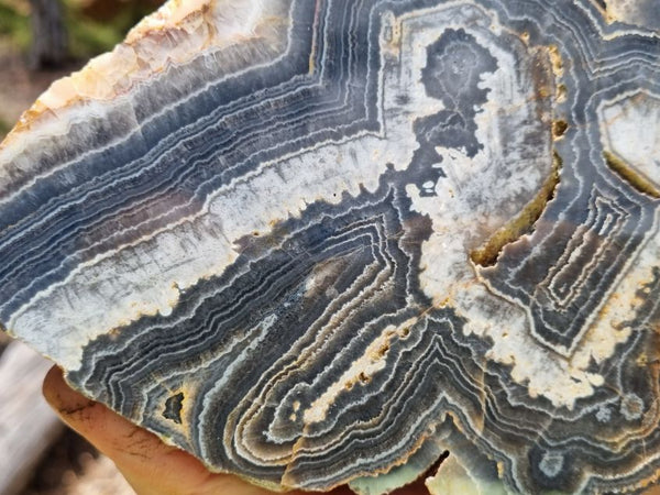 Polished Wyloo Agate slab WA134