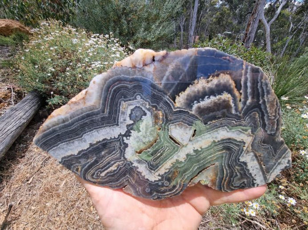 Polished Wyloo Agate slab WA134
