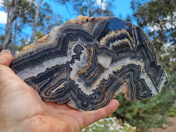 Polished Wyloo Agate slab WA134