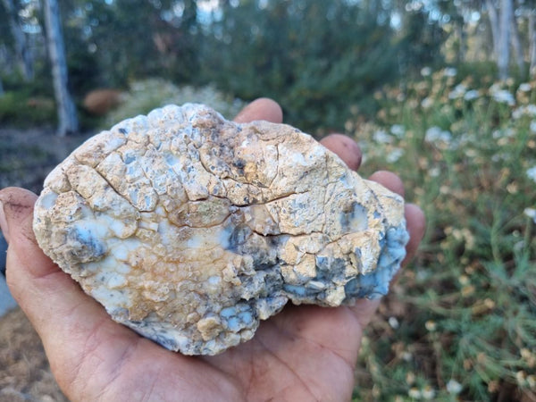 Chalcedony  PC115