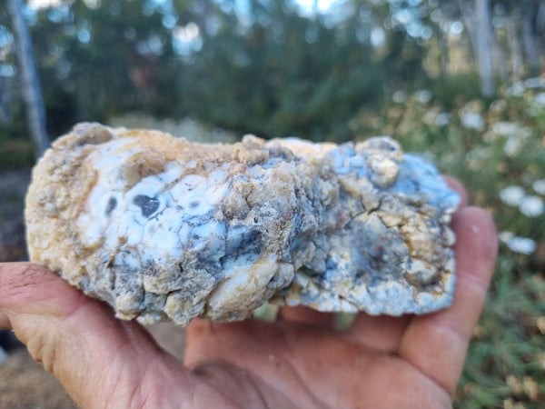 Chalcedony  PC115