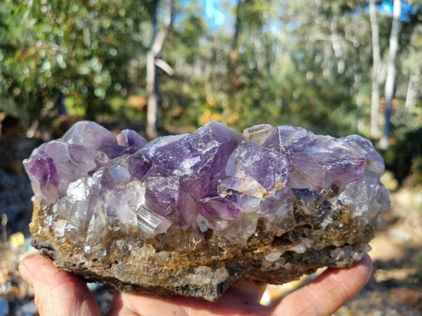 Polished Amethyst AMP103