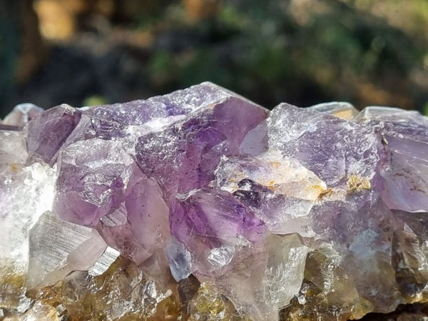 Polished Amethyst AMP103