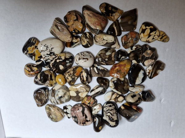Tumble polished Peanut Wood PWT111