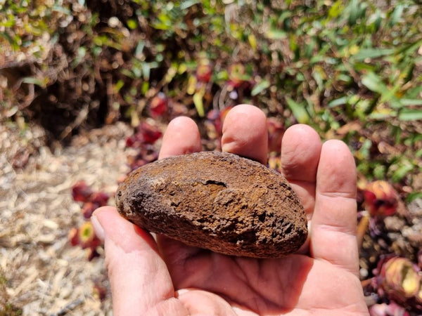 Hematite Geode  HEM118