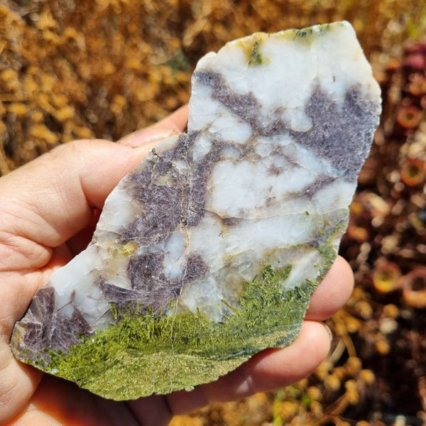 Epidote, Quartz & Axinite EPI65