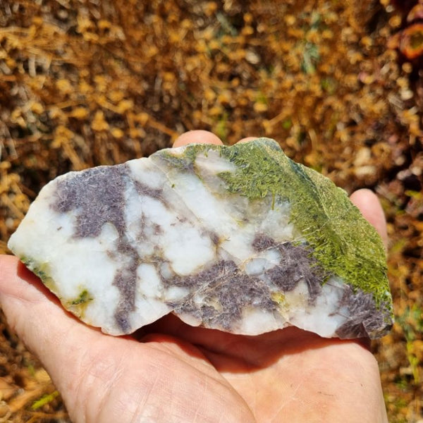 Epidote, Quartz & Axinite EPI65