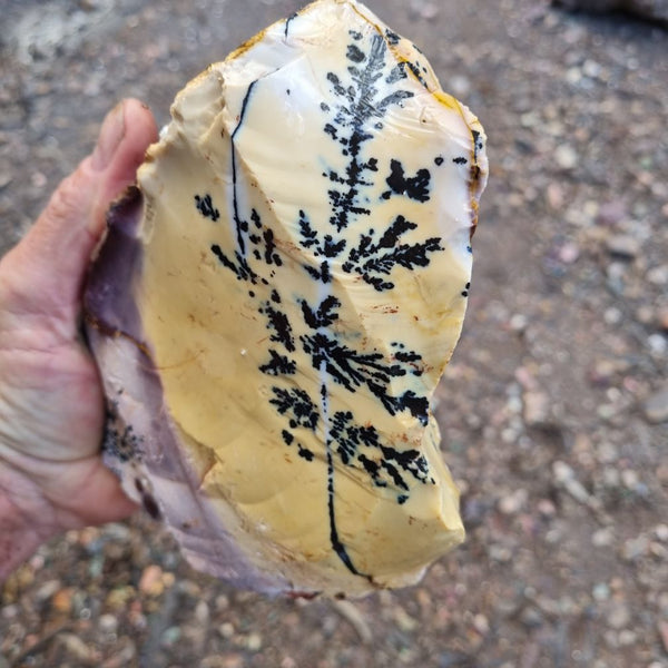 Dendritic Mookaite rough.  MKR 203