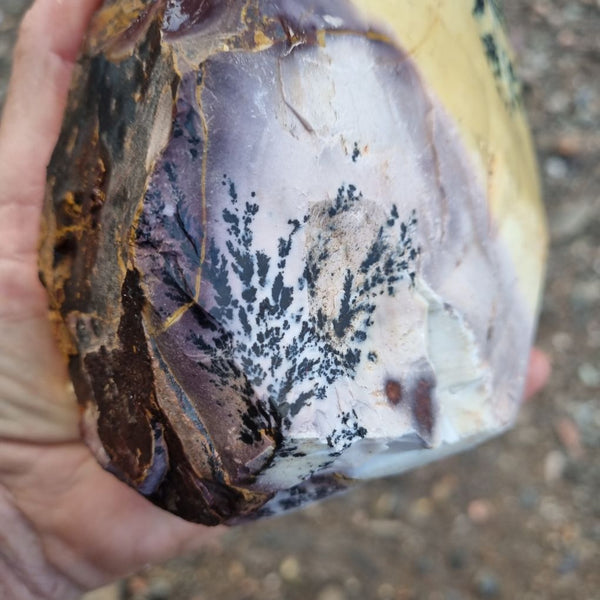 Dendritic Mookaite rough.  MKR 203