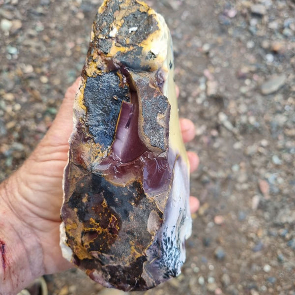 Dendritic Mookaite rough.  MKR 203