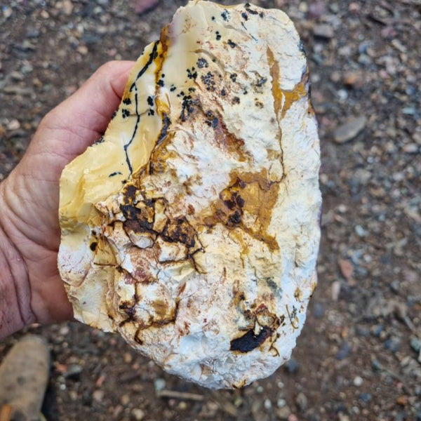 Dendritic Mookaite rough.  MKR 203