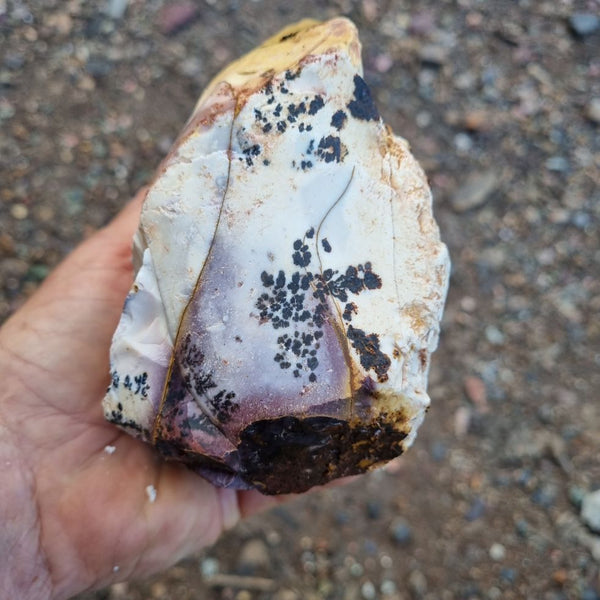 Dendritic Mookaite rough.  MKR 203