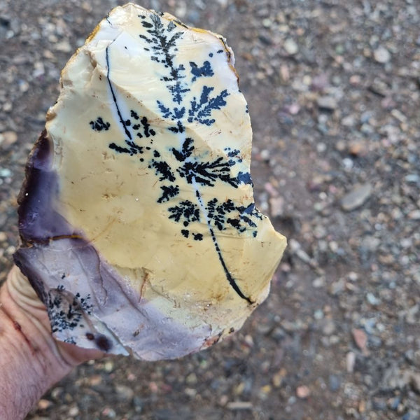 Dendritic Mookaite rough.  MKR 203