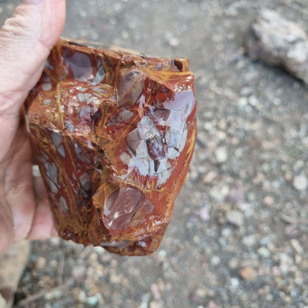 Noreena Jasper rough NJR155
