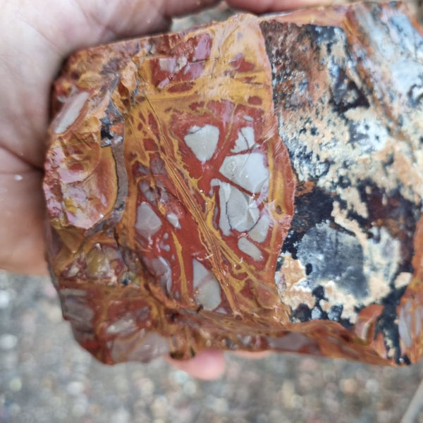 Noreena Jasper rough NJR155
