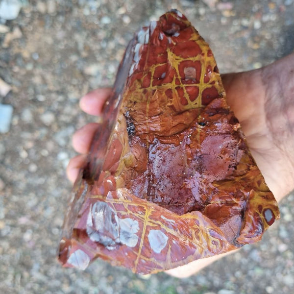 Noreena Jasper rough NJR157