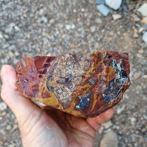 Noreena Jasper rough NJR157