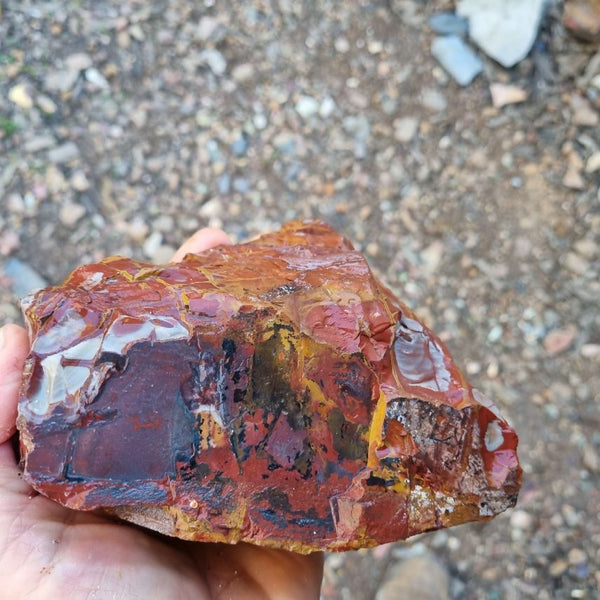 Noreena Jasper rough NJR157