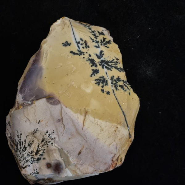 Dendritic Mookaite rough.  MKR 203
