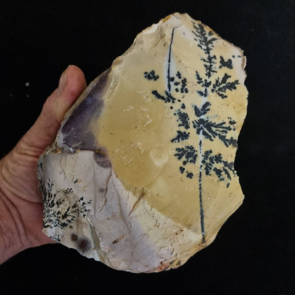 Dendritic Mookaite rough.  MKR 203