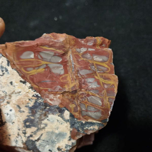 Noreena Jasper rough NJR155