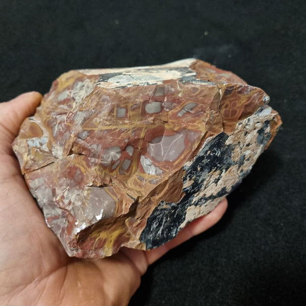 Noreena Jasper rough NJR155