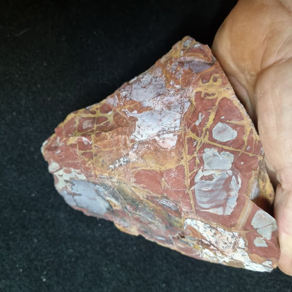 Noreena Jasper rough NJR157
