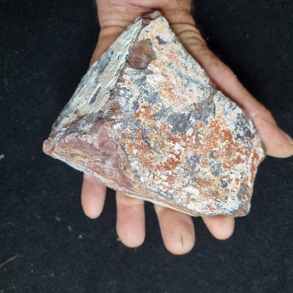 Noreena Jasper rough NJR157